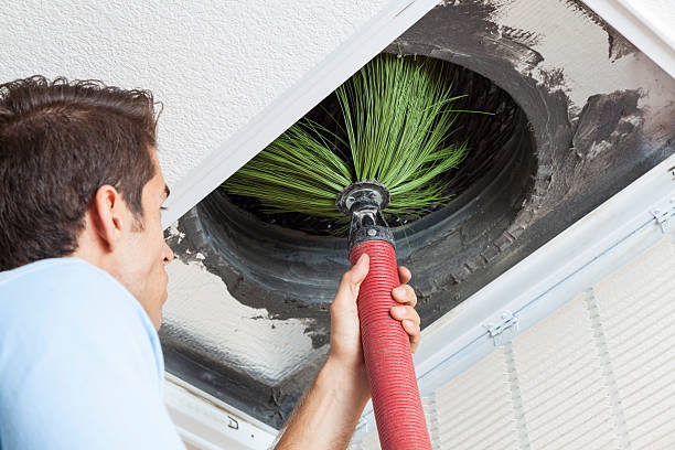 Best HVAC Duct Inspection Services  in Wyoming, IL