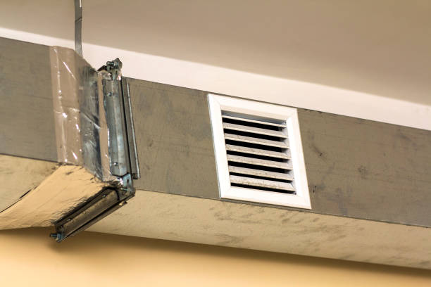 Best Affordable Duct Cleaning Services  in Wyoming, IL